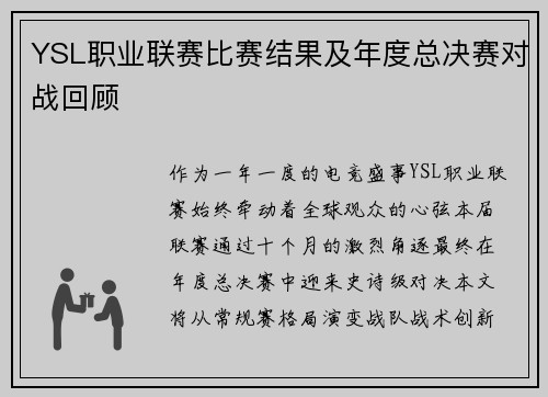 YSL职业联赛比赛结果及年度总决赛对战回顾